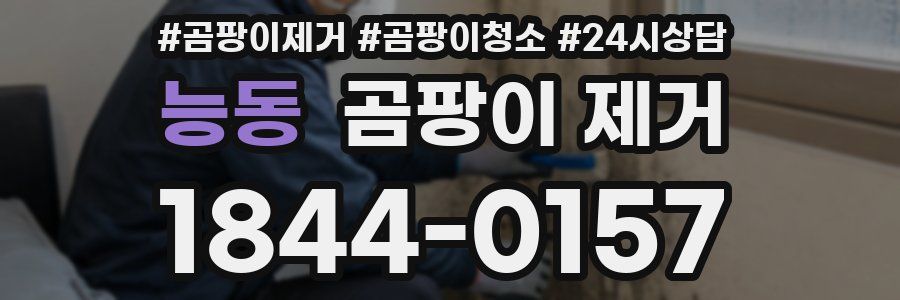 능동 곰팡이 제거