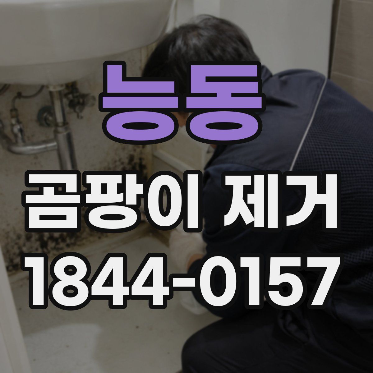 능동 곰팡이 제거