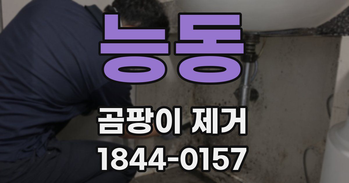 능동 곰팡이 제거