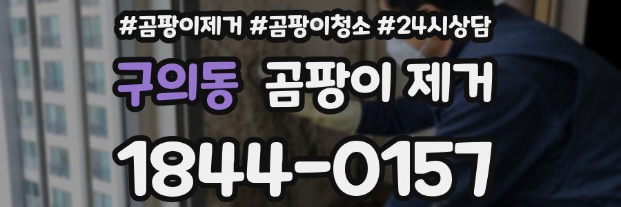 구의동 곰팡이 제거