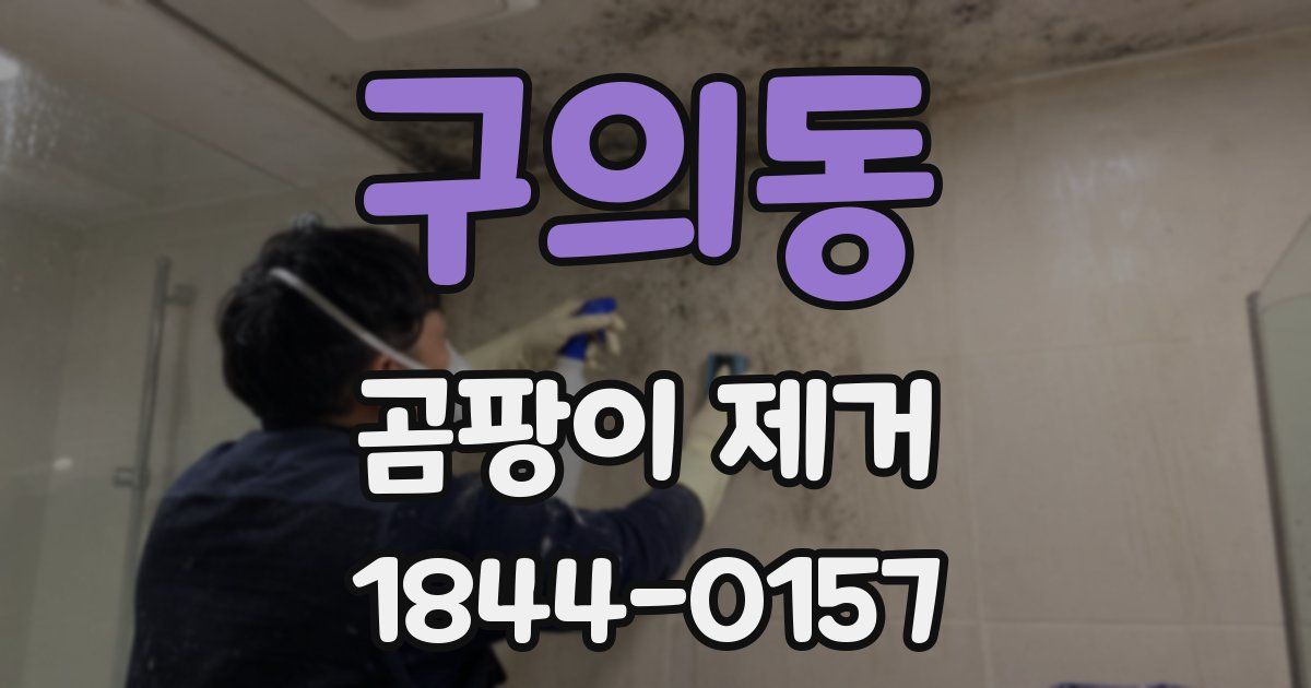구의동 곰팡이 제거