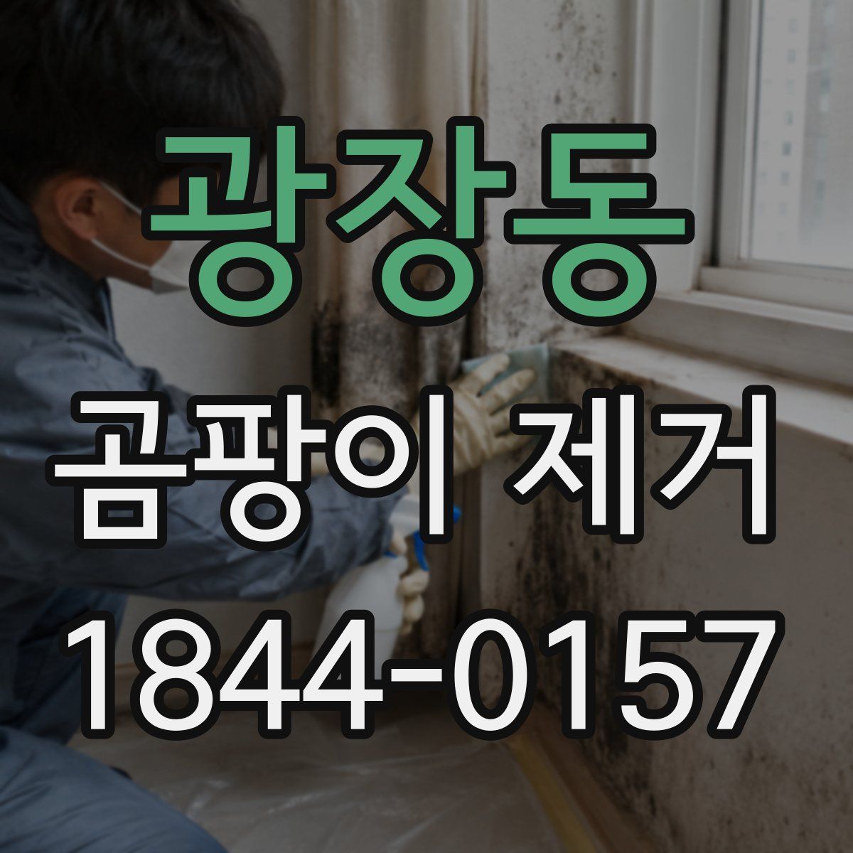 광장동 곰팡이 제거