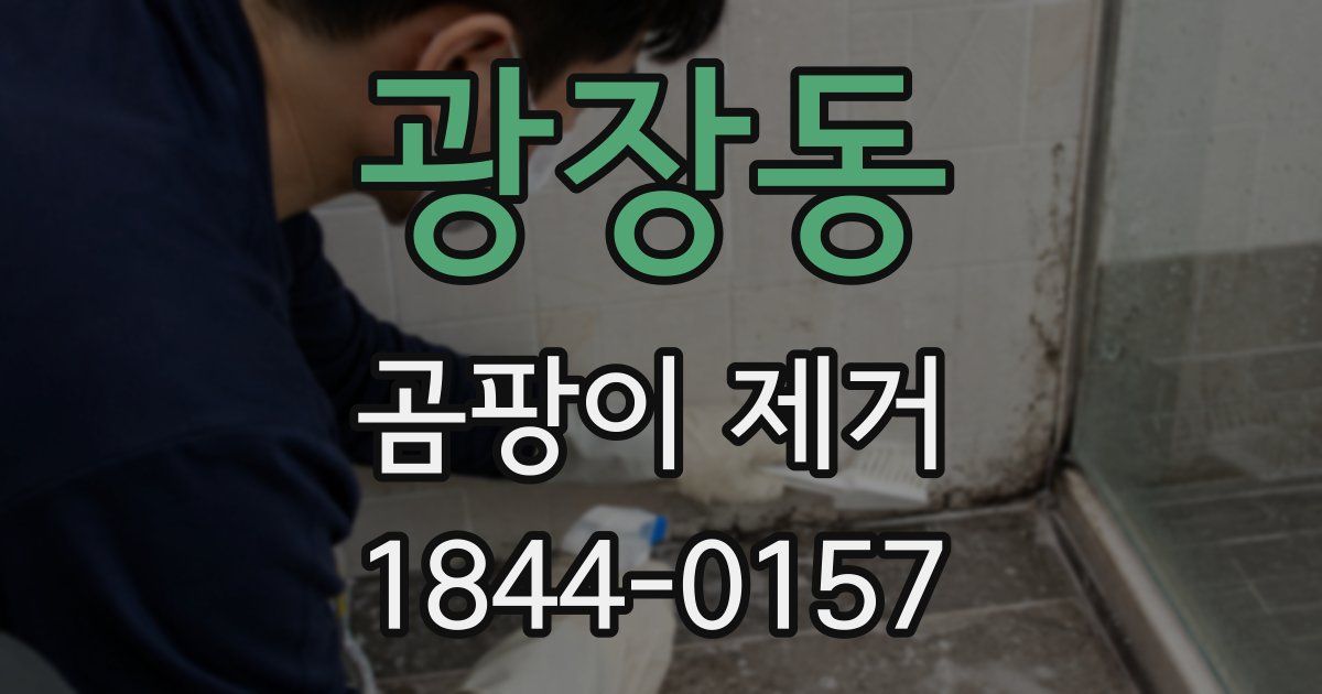 광장동 곰팡이 제거