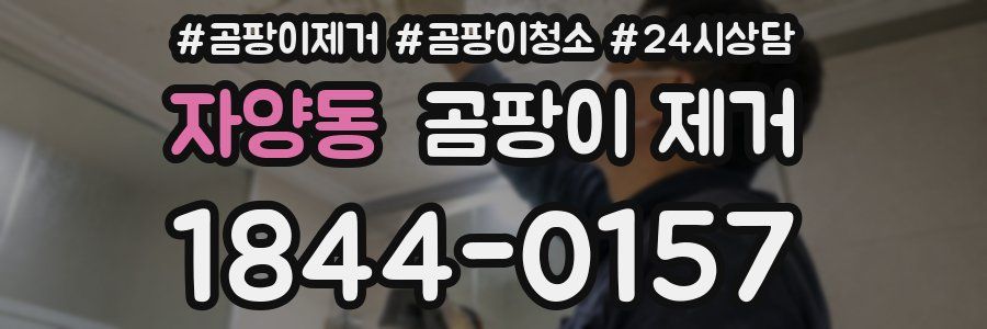 자양동 곰팡이 제거