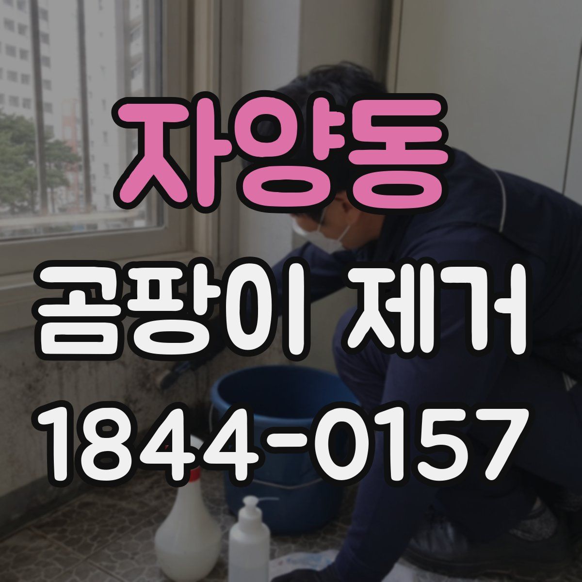 자양동 곰팡이 제거