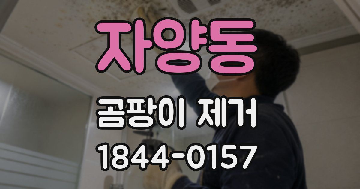 자양동 곰팡이 제거