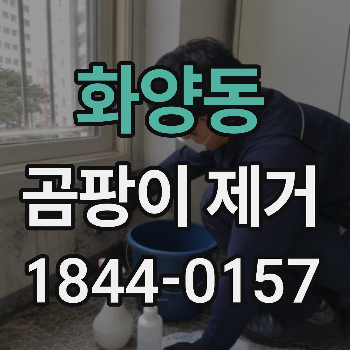 화양동 곰팡이 제거
