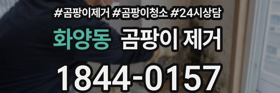 화양동 곰팡이 제거