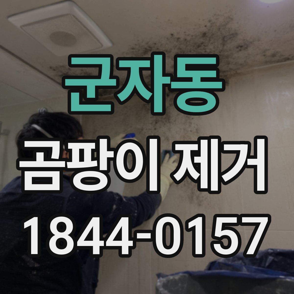 군자동 곰팡이 제거
