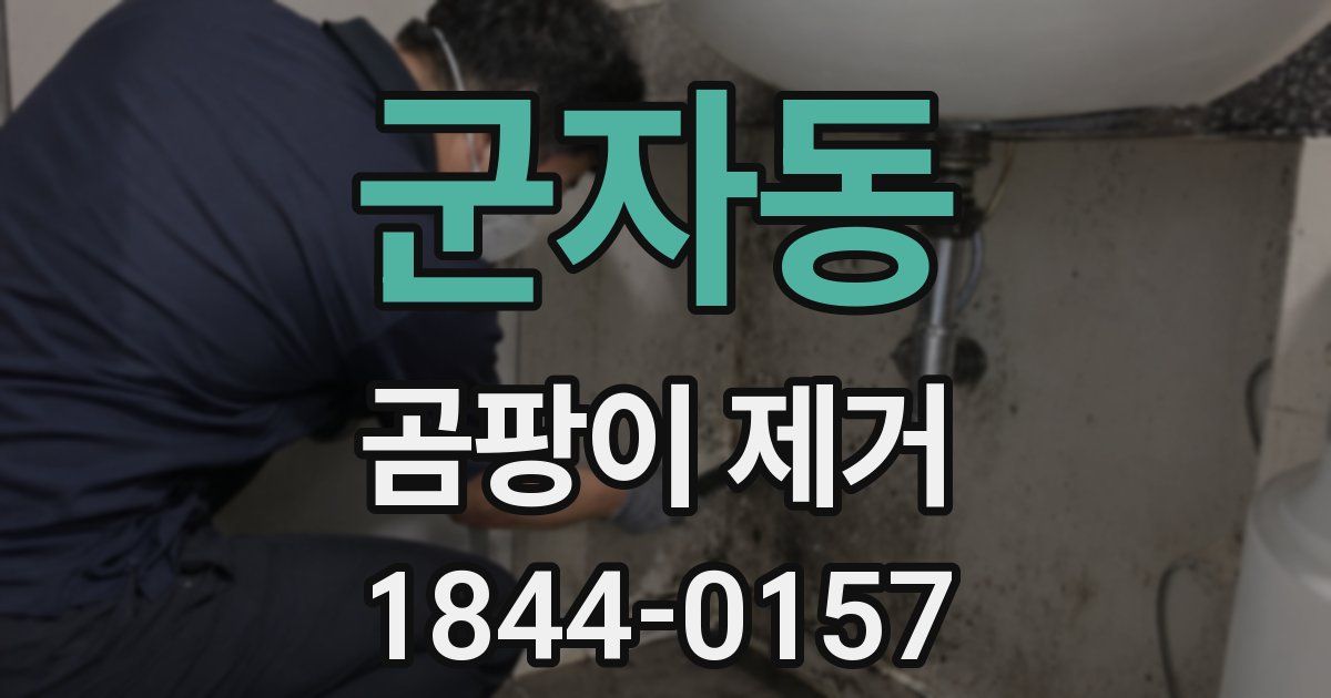 군자동 곰팡이 제거