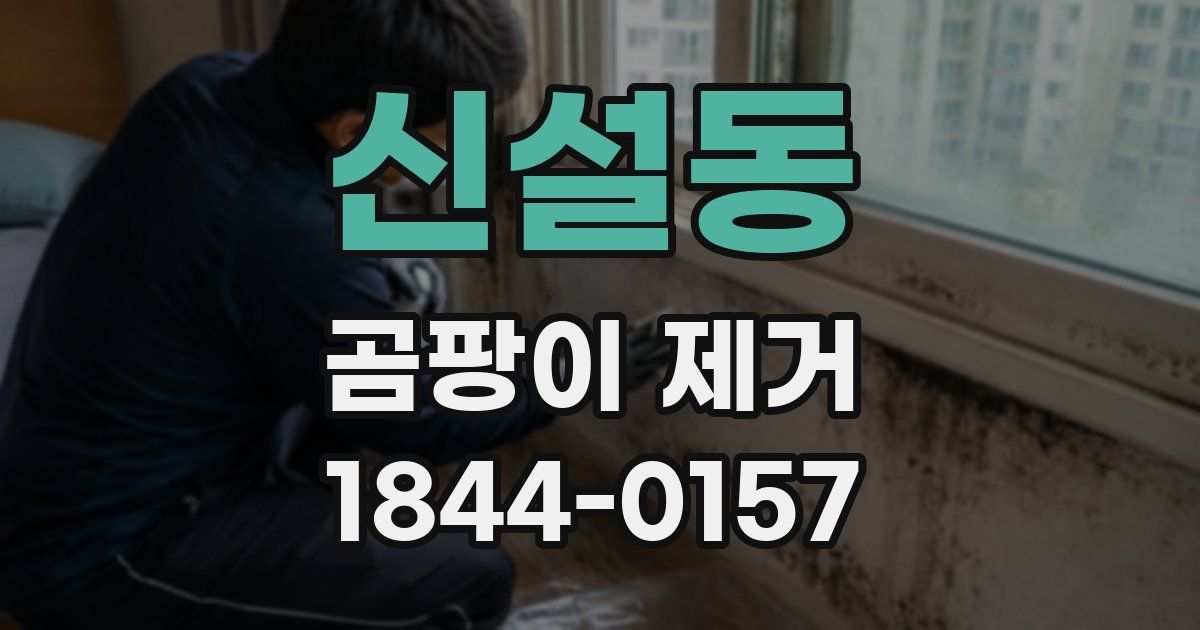 신설동 곰팡이 제거