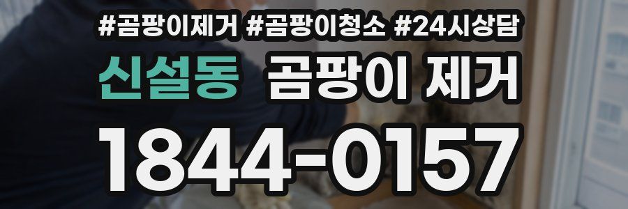 신설동 곰팡이 제거
