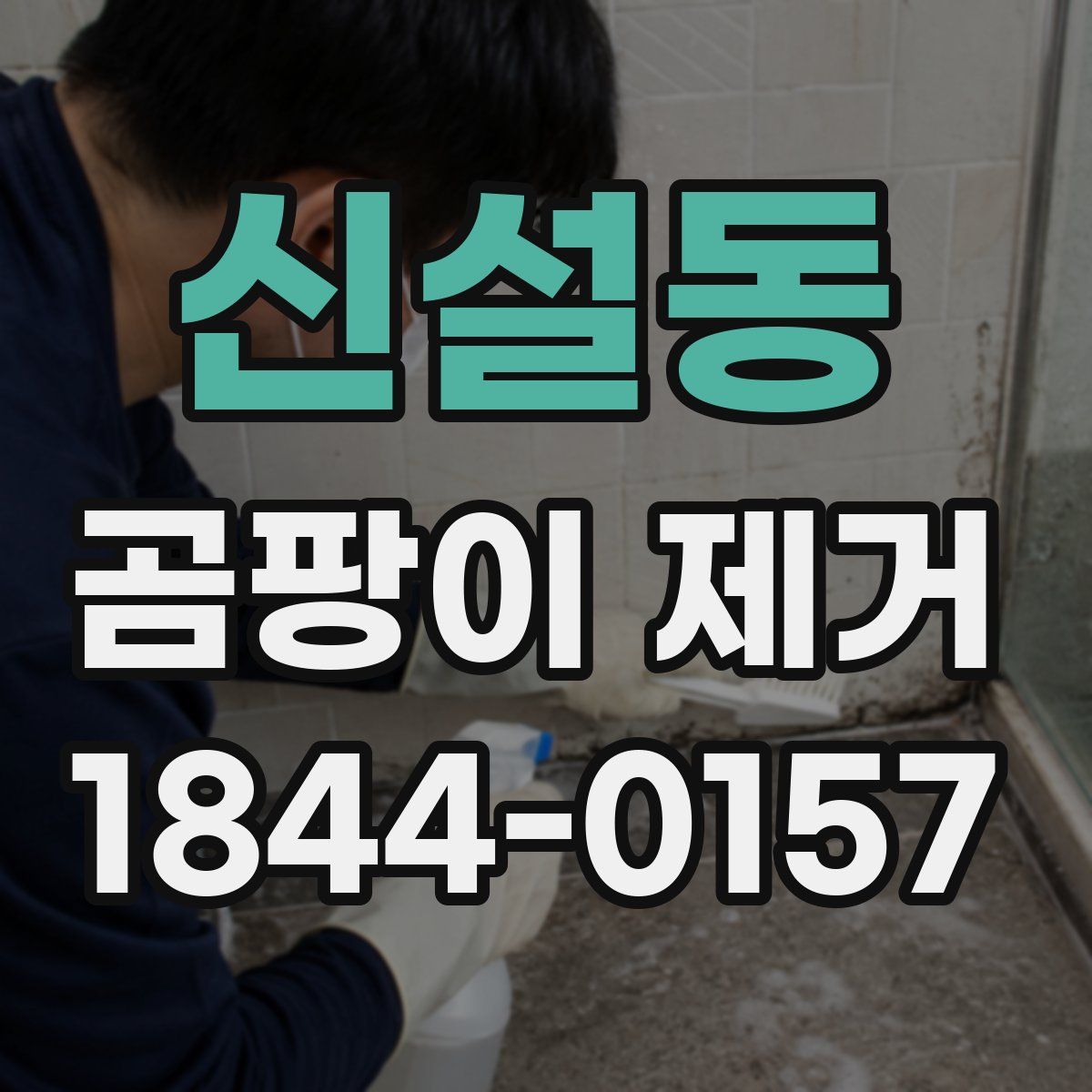 신설동 곰팡이 제거