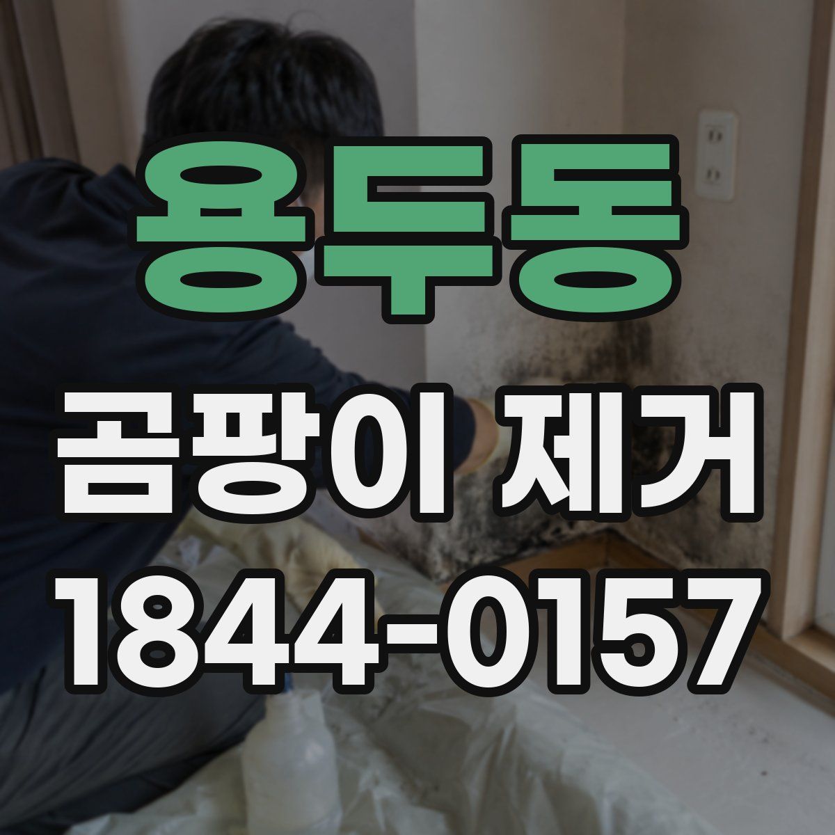 용두동 곰팡이 제거