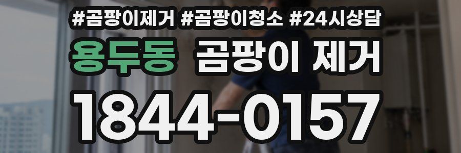 용두동 곰팡이 제거
