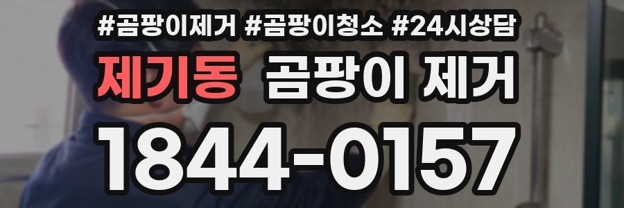 제기동 곰팡이 제거
