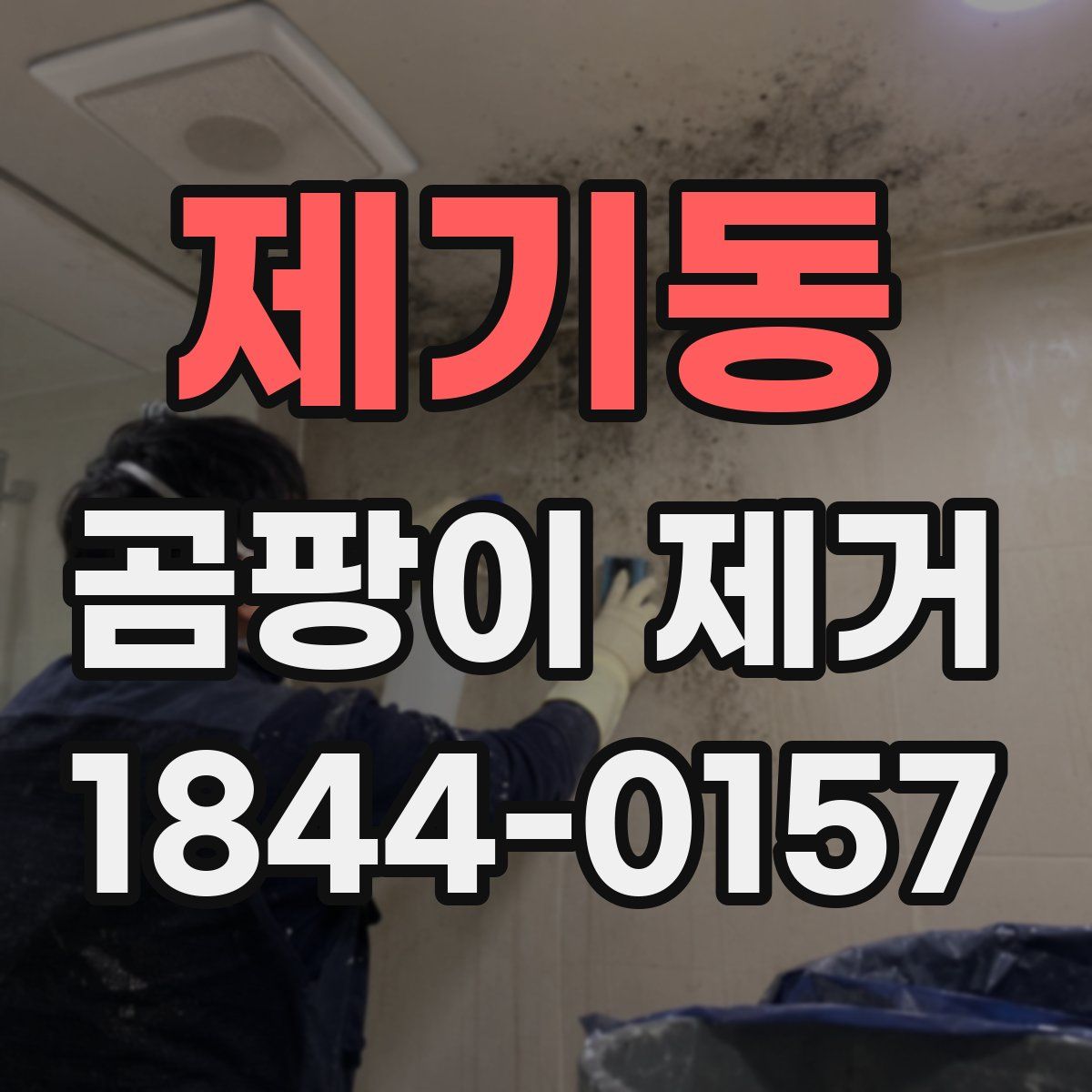 제기동 곰팡이 제거