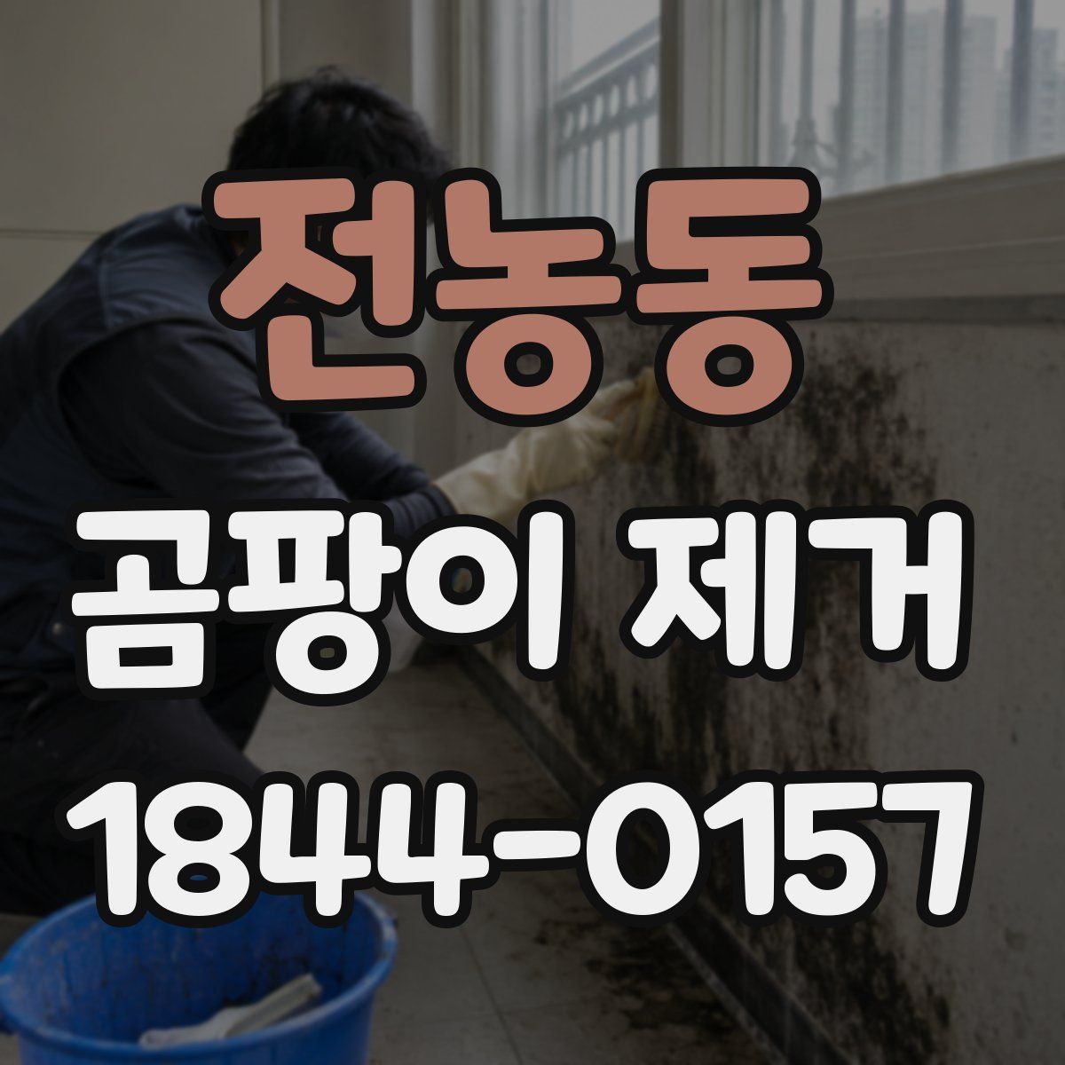 전농동 곰팡이 제거