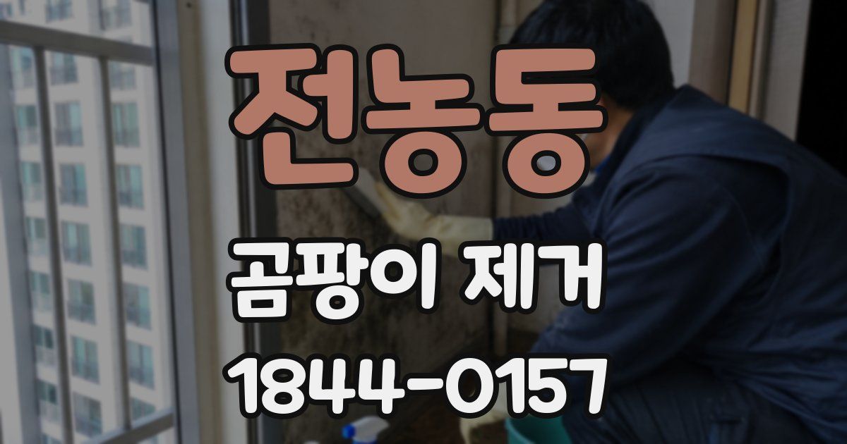 전농동 곰팡이 제거