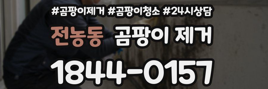 전농동 곰팡이 제거