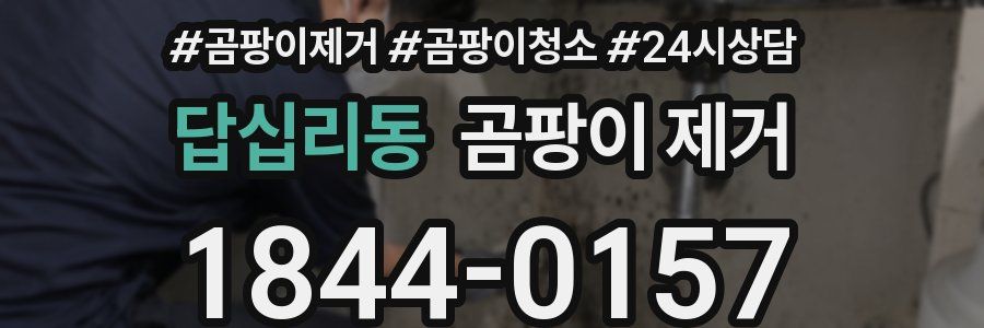 답십리동 곰팡이 제거