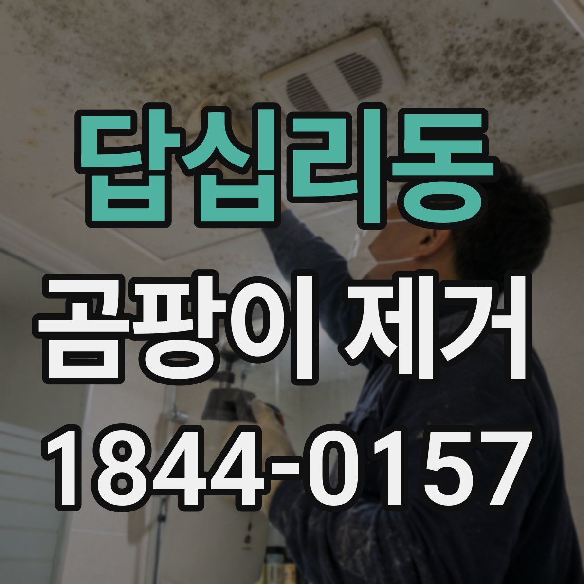 답십리동 곰팡이 제거