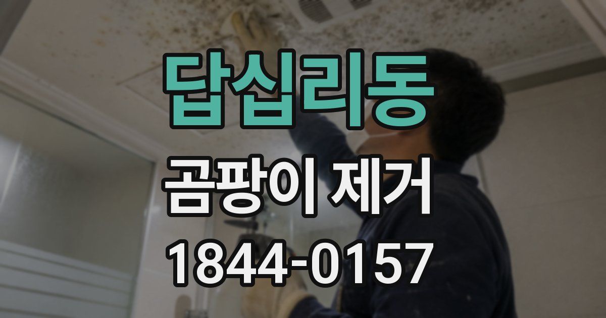 답십리동 곰팡이 제거