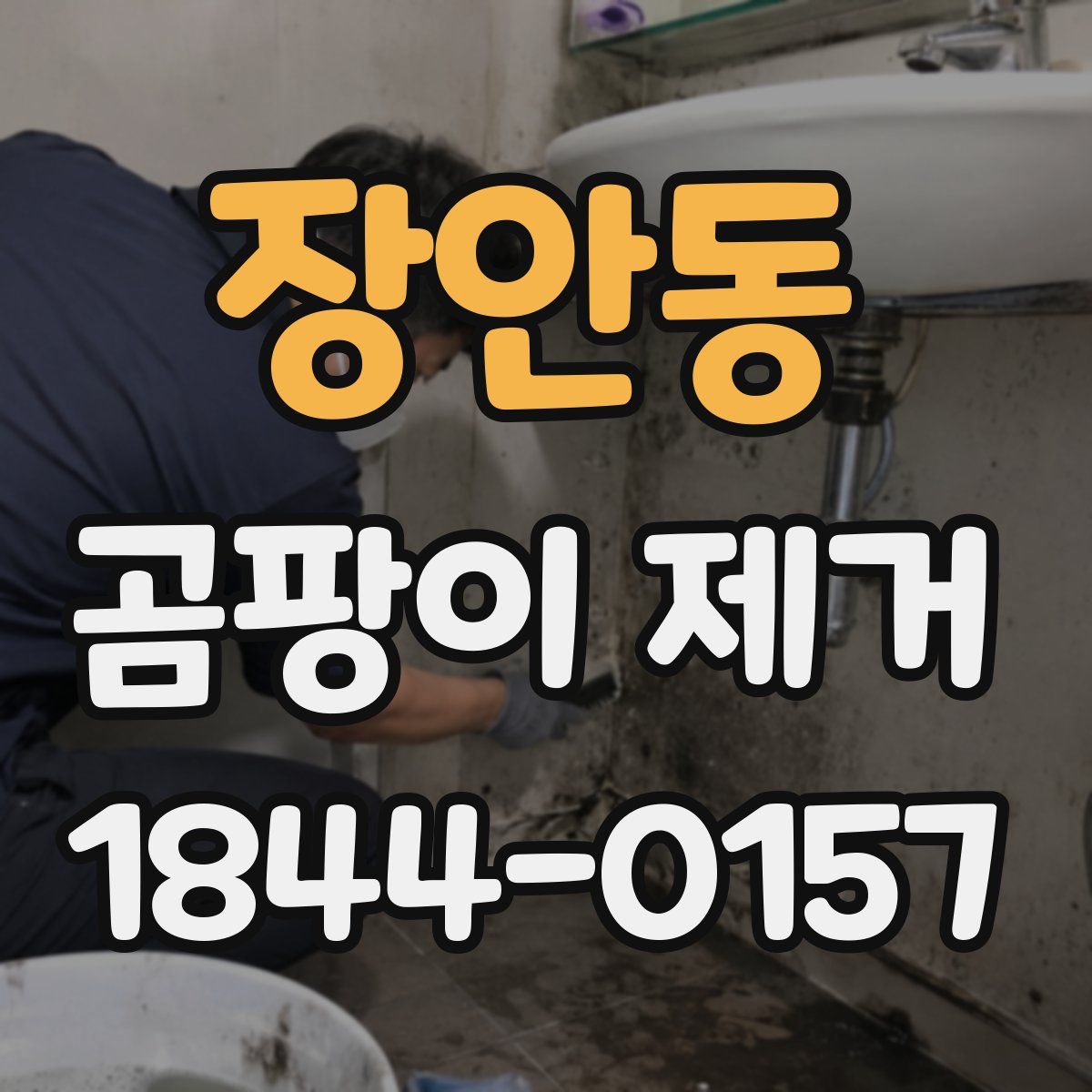 장안동 곰팡이 제거