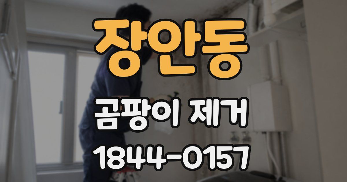장안동 곰팡이 제거