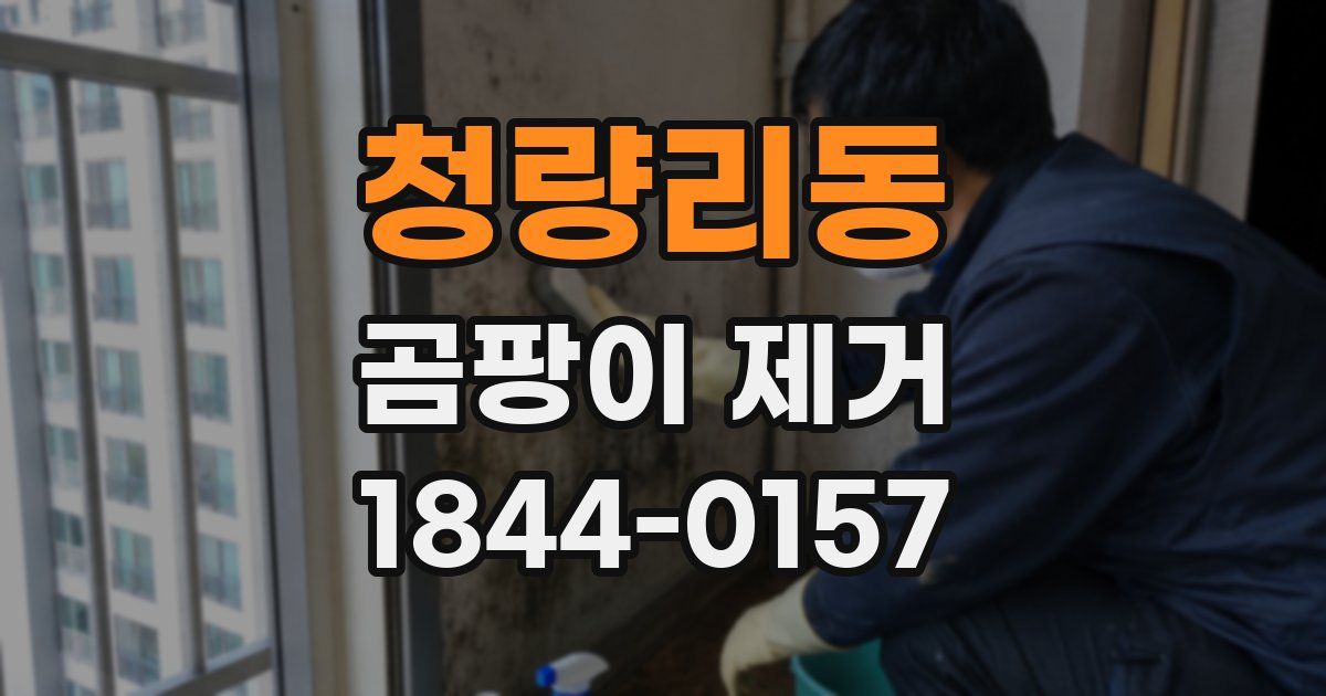 청량리동 곰팡이 제거