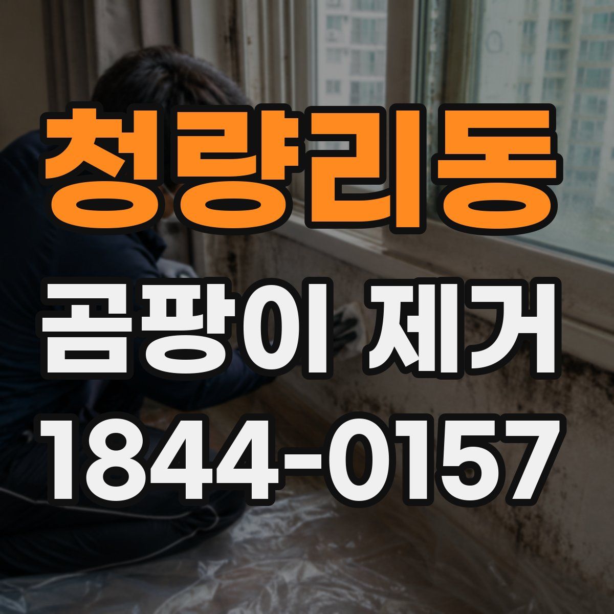 청량리동 곰팡이 제거