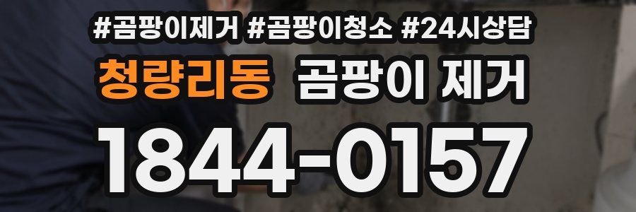 청량리동 곰팡이 제거