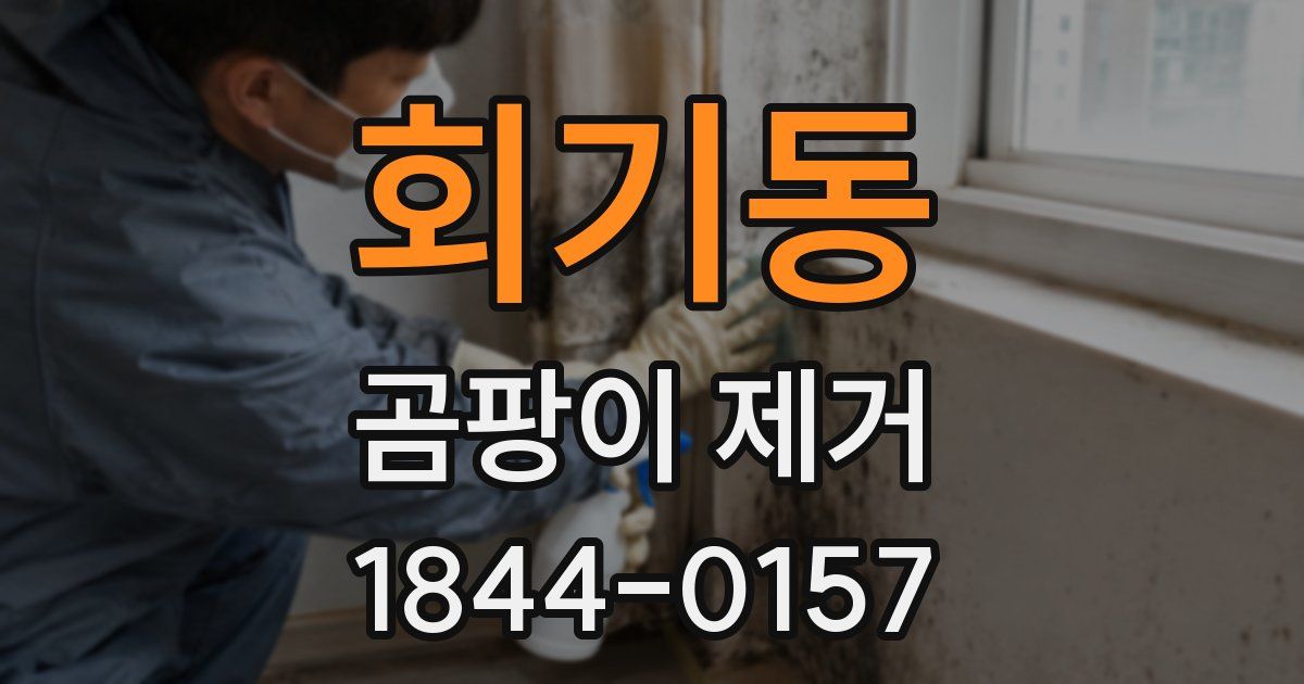 회기동 곰팡이 제거