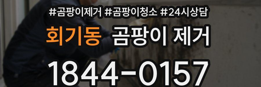 회기동 곰팡이 제거