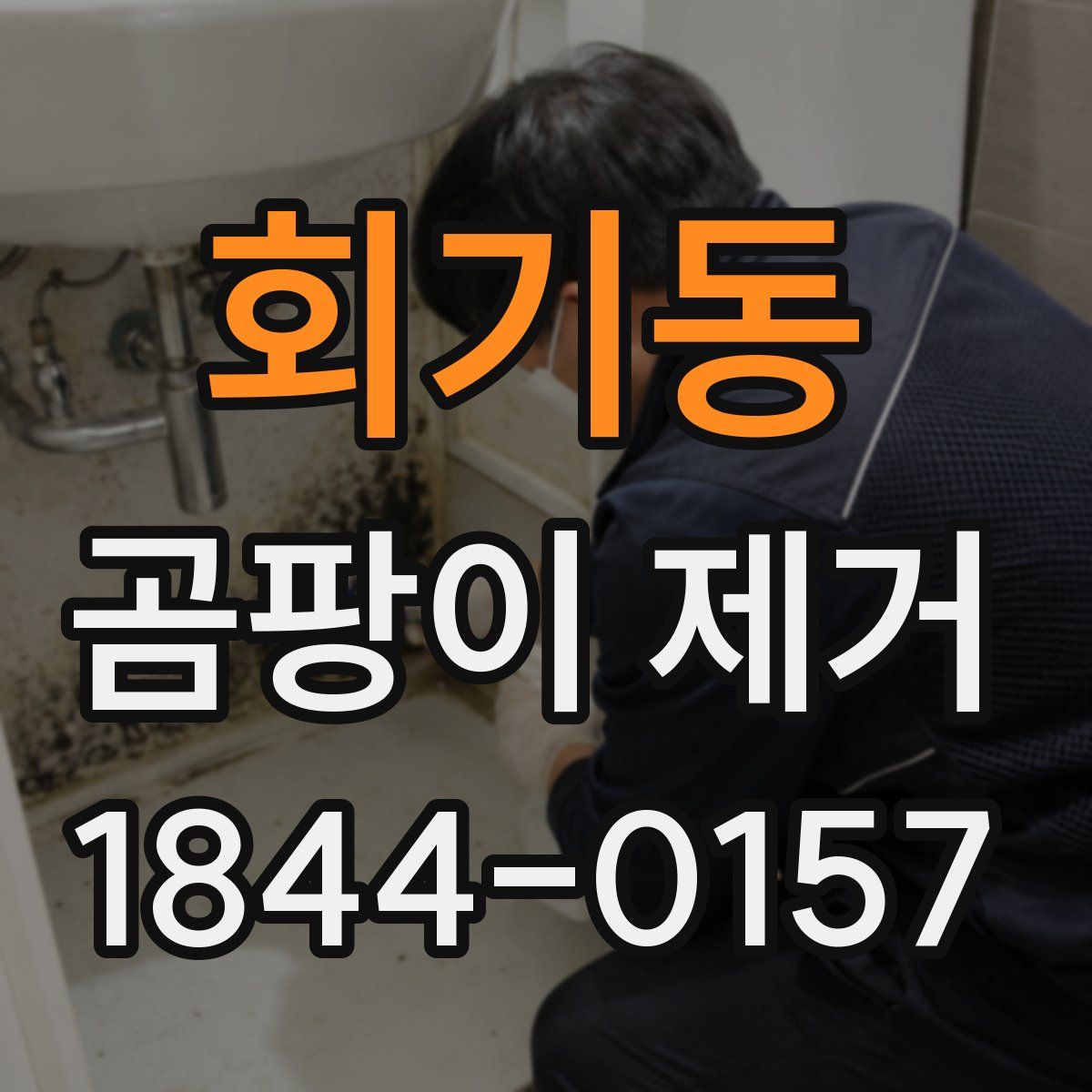 회기동 곰팡이 제거