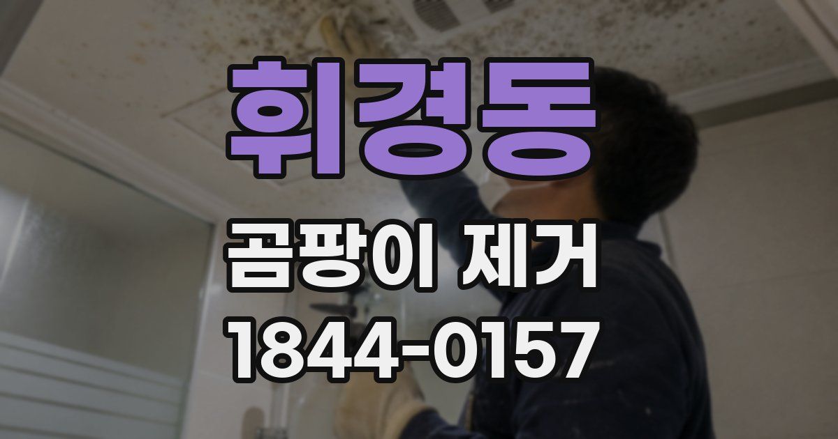 휘경동 곰팡이 제거