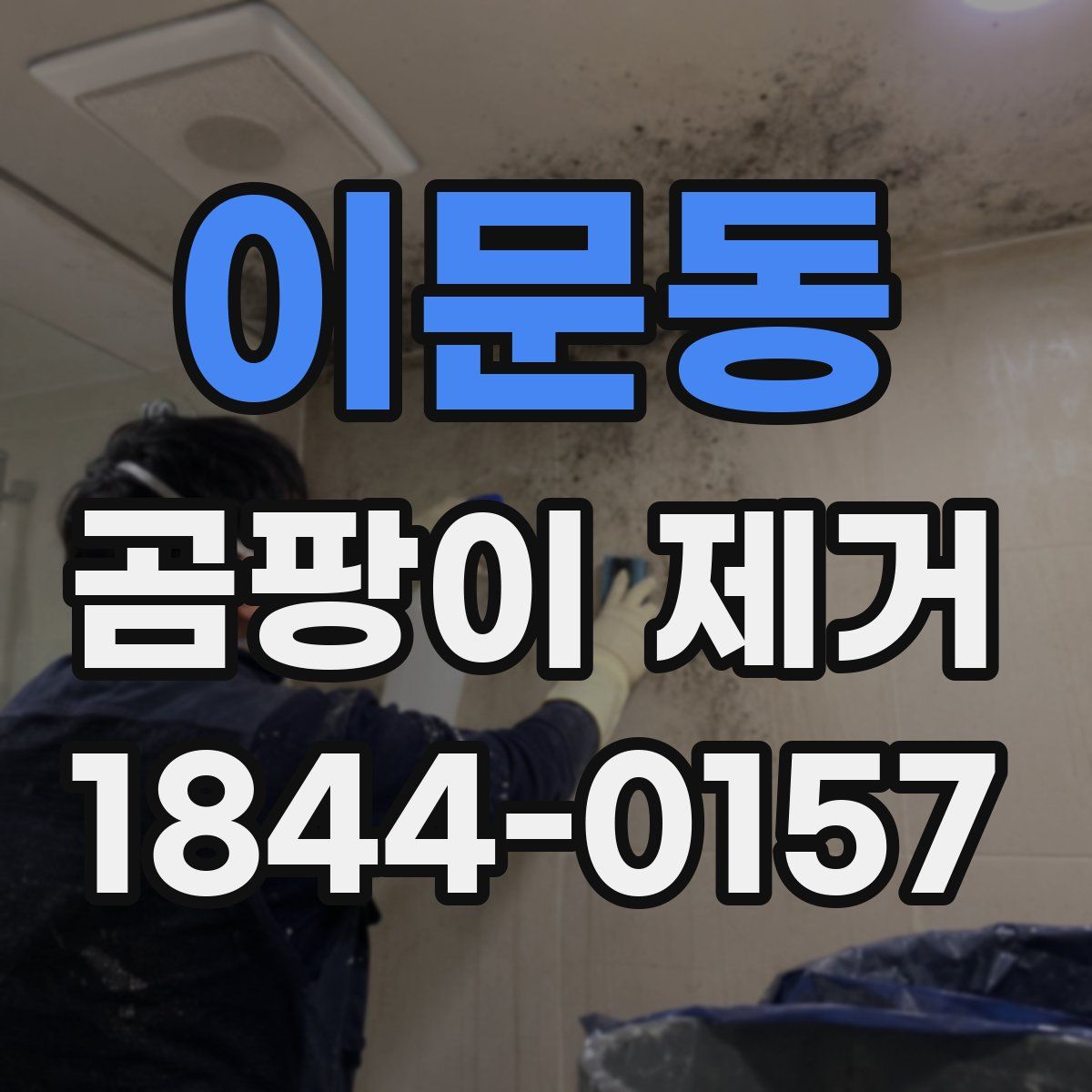 이문동 곰팡이 제거