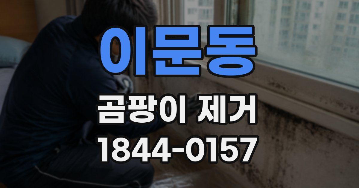 이문동 곰팡이 제거