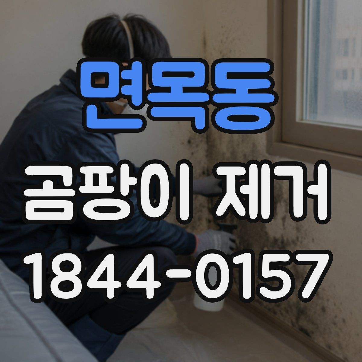 면목동 곰팡이 제거 장마철 실내 습도 관리와 재발 방지