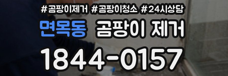 면목동 곰팡이 제거