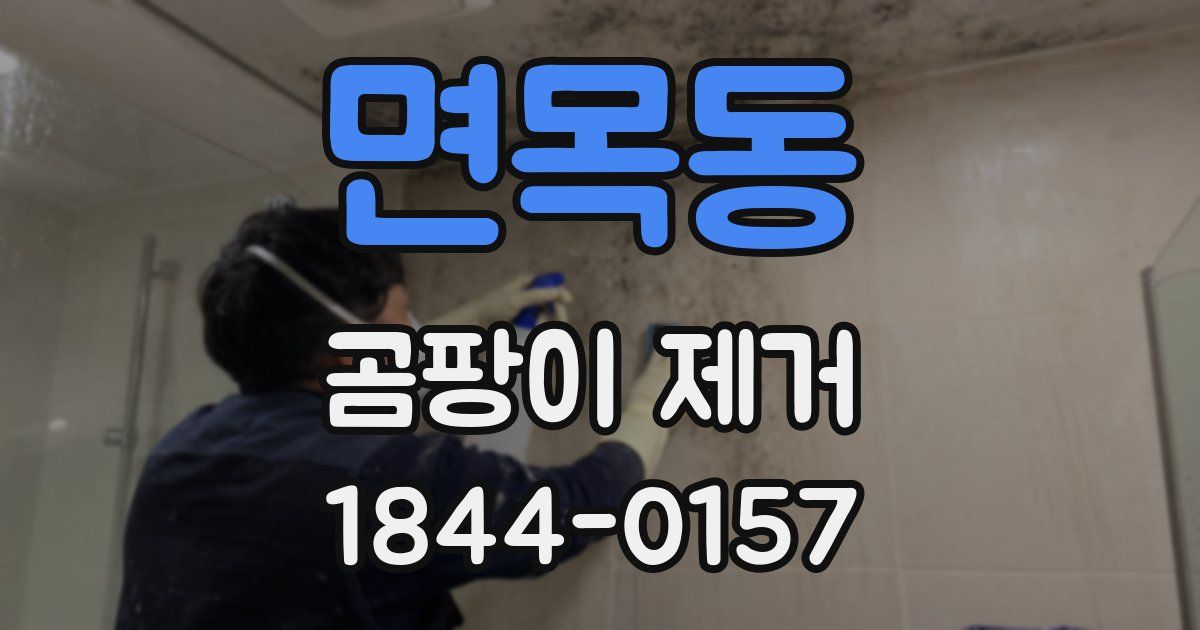 면목동 곰팡이 제거