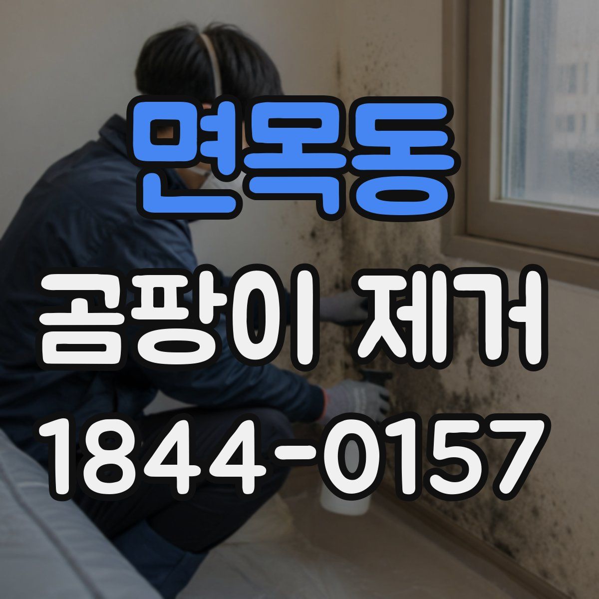 면목동 곰팡이 제거