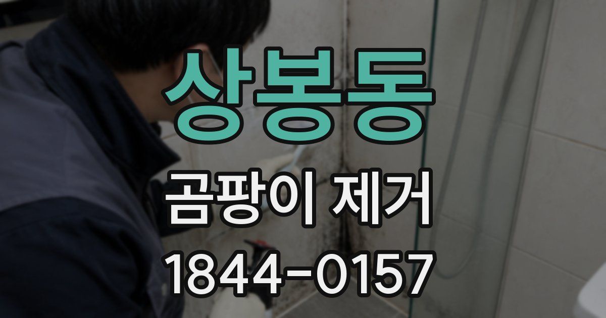 상봉동 곰팡이 제거