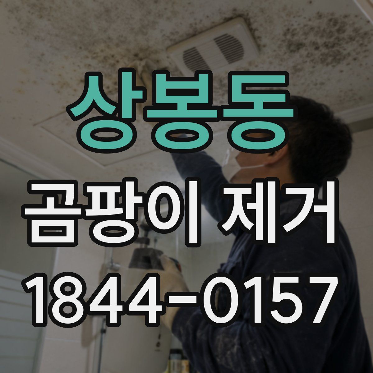 상봉동 곰팡이 제거