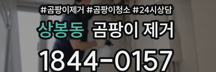 상봉동 곰팡이 제거