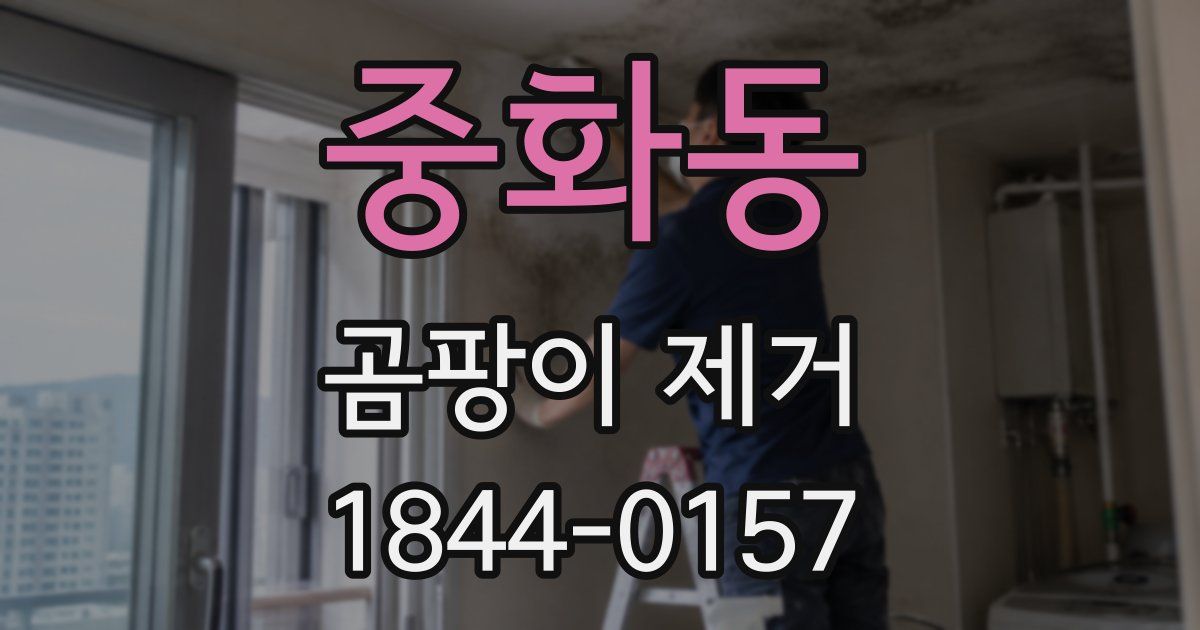 중화동 곰팡이 제거