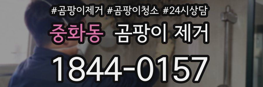 중화동 곰팡이 제거