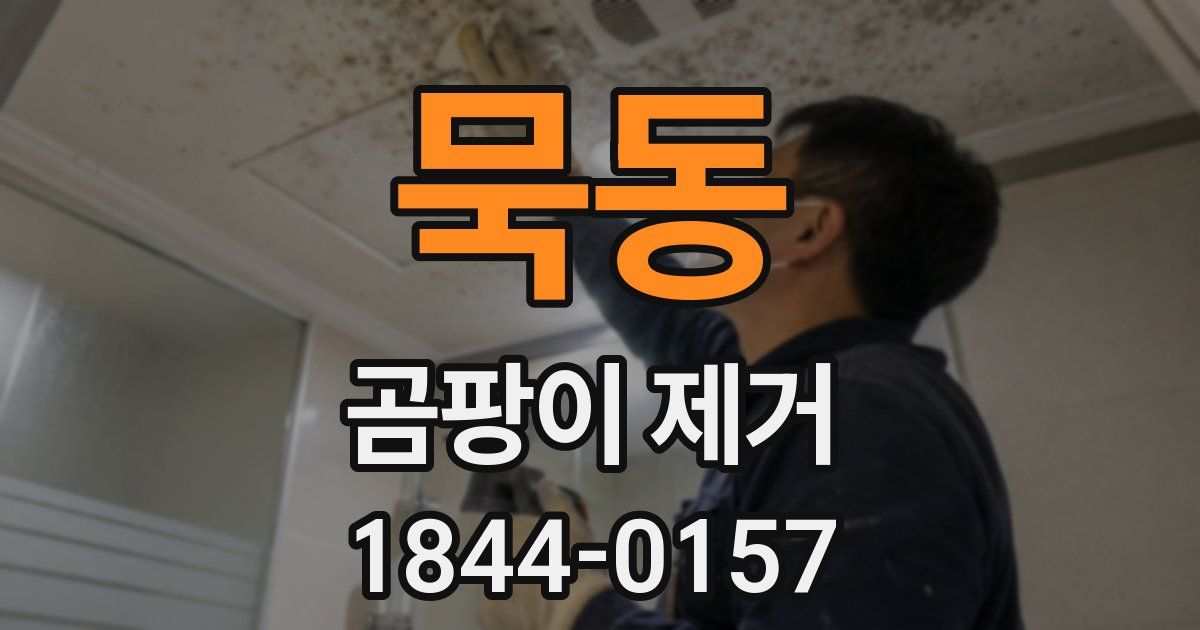 묵동 곰팡이 제거