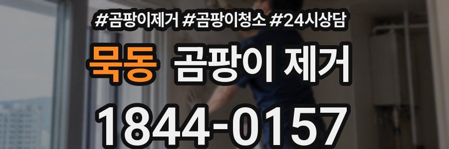 묵동 곰팡이 제거
