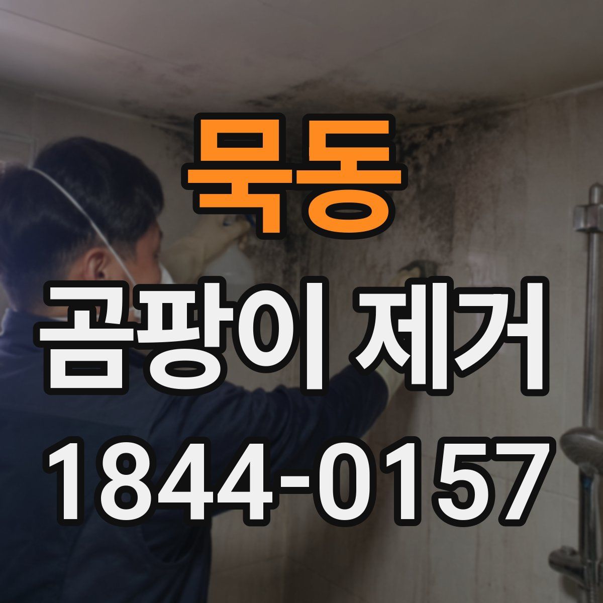 묵동 곰팡이 제거